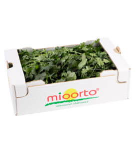 Coriandolo in cartone da 200g