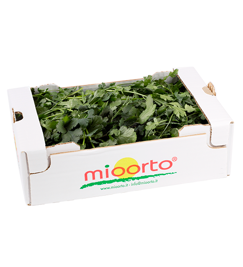 Coriandolo in cartone da 200g