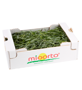 Dragoncello cartone da 200g