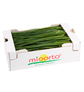 Erba cipollina cartone da 200g