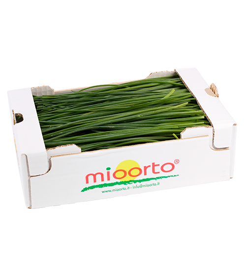 Erba cipollina cartone da 200g