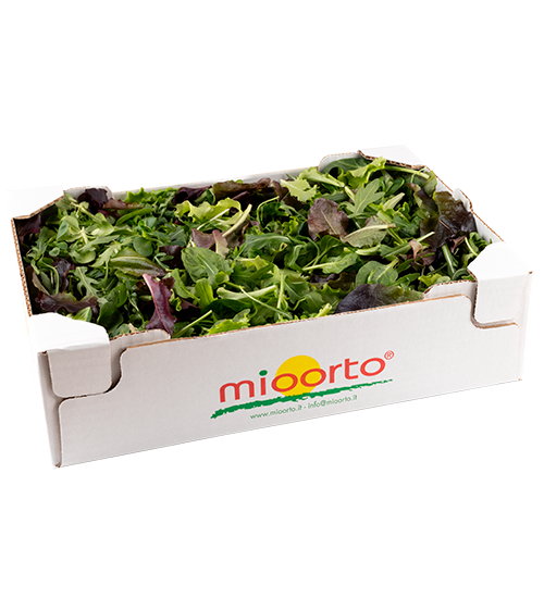 Gran mix cartone da 500g