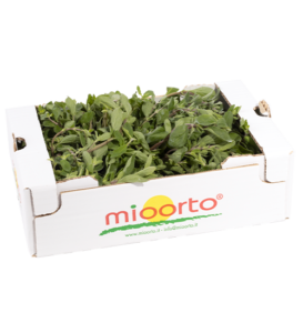 Maggiorana in cartone da 200g