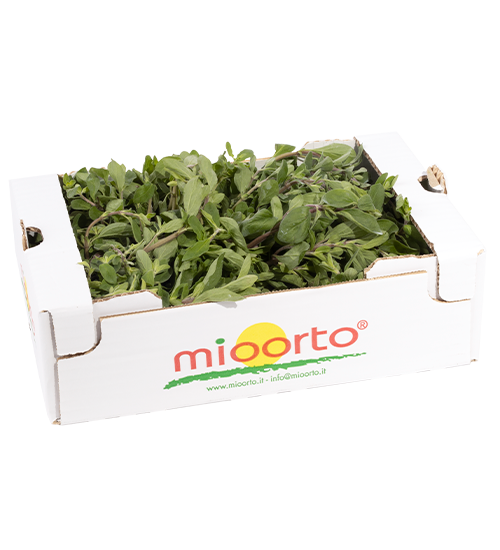 Maggiorana in cartone da 200g