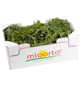 Rucola in cartone da 300g