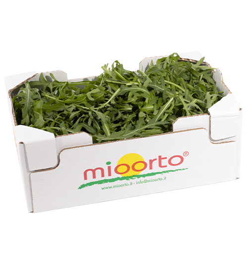 Rucola in cartone da 300g