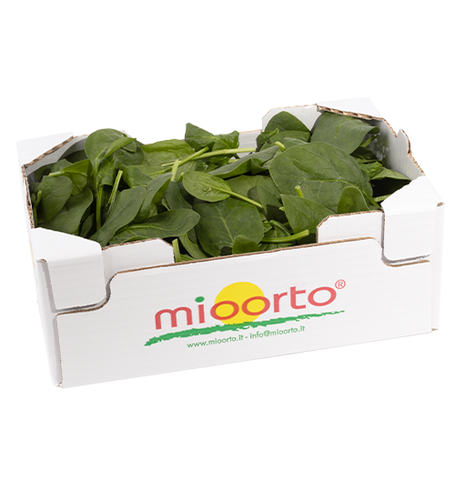 Spinacino in cartone da 300g