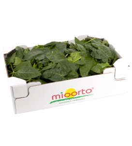 Spinaci in cartone da 500g