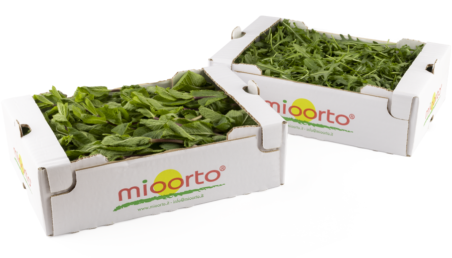 Composizione due cartoni per catering