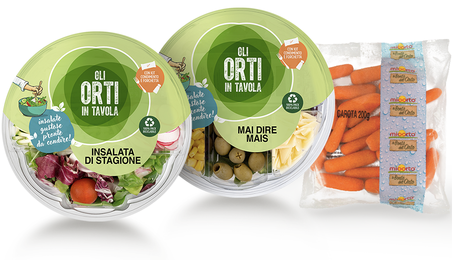 composizione insalate pronte da condire