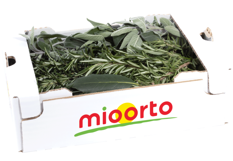 aromi misti in cartone da 200g