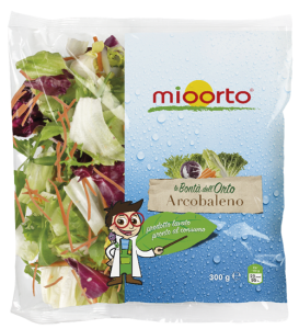 Busta di insalata Arcobaleno