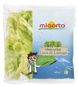 Busta di Cuor di Lattuga