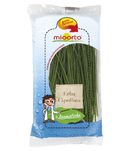 Erba cipollina