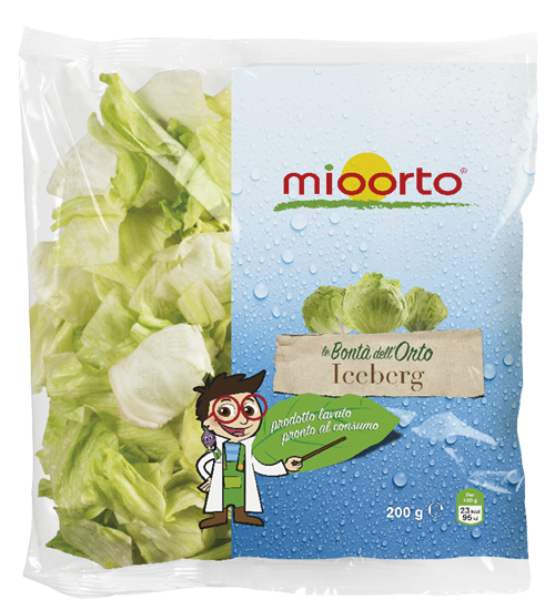 Busta di insalata iceberg