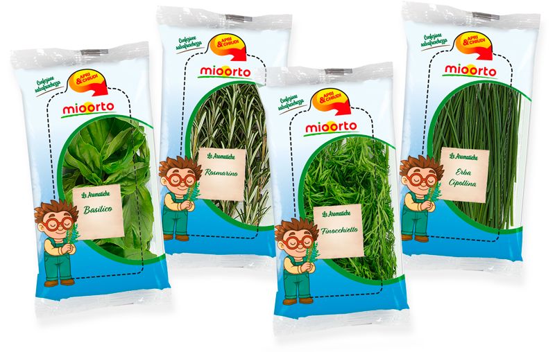 composizione di vaschette di erbe aromatiche