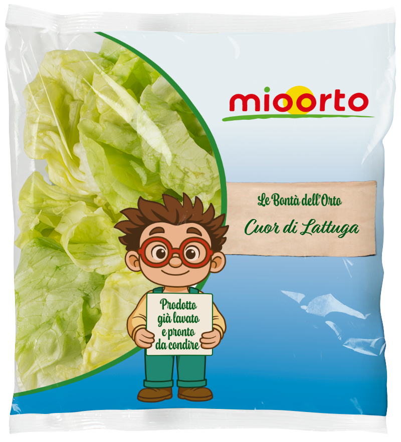 pack di insalata cuor di lattuga