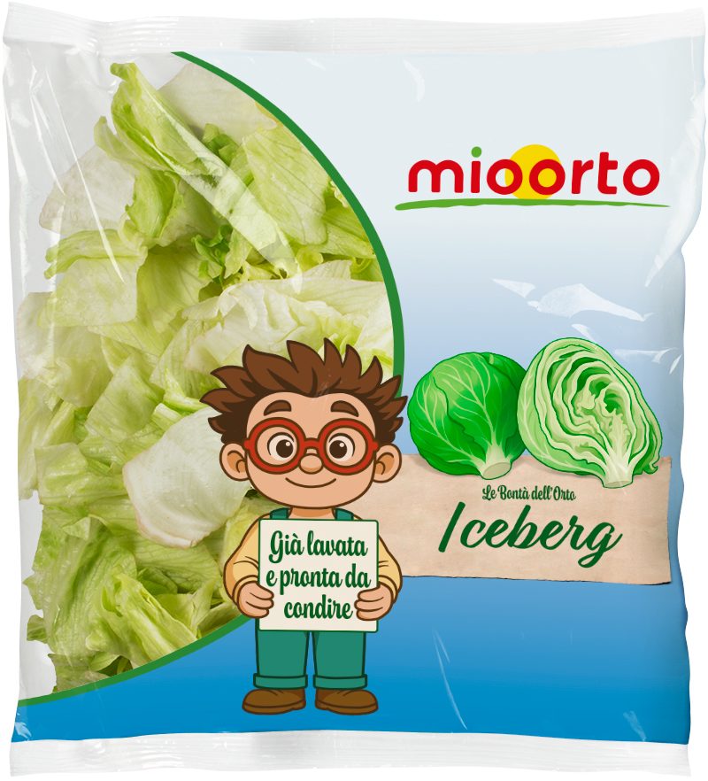 pack di insalata iceberg