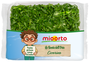 pack di insalata cicorino in vaschetta