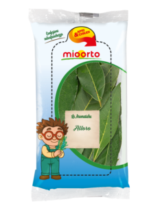 pack di alloro in vaschetta