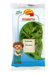 pack di basilico in vaschetta