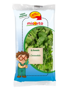 pack di coriandolo in vaschetta