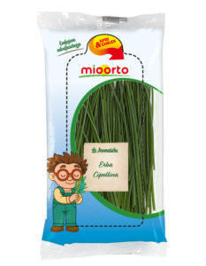 pack di erba cipollina in vaschetta