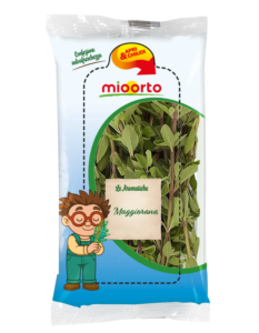 pack di maggiorana in vaschetta