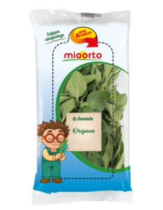 pack di origano in vaschetta