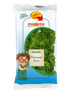 pack di prezzemolo riccio in vaschetta