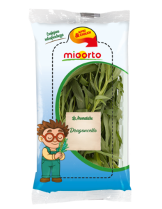 pack di dragoncello in vaschetta