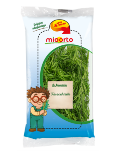 pack di finocchietto in vaschetta