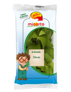 pack di menta in vaschetta