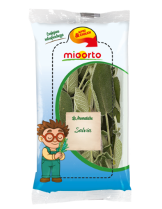 pack di salvia in vaschetta