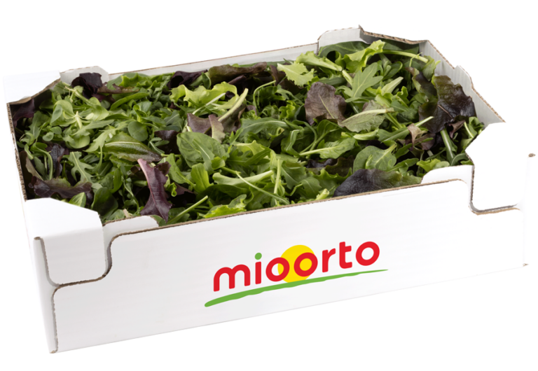 insalata gran mix in cartone da 200g