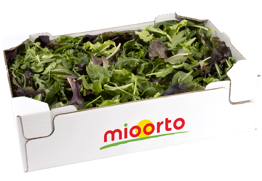 insalata gran mix in cartone da 200g