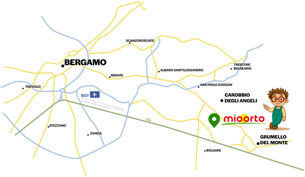 mappa di dove si trova l'ufficio di mioorto a bergamo