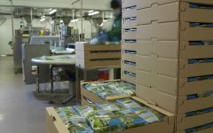 mioorto-lavorazione-11