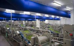 mioorto-lavorazione-2