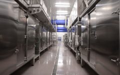 mioorto-lavorazione-5